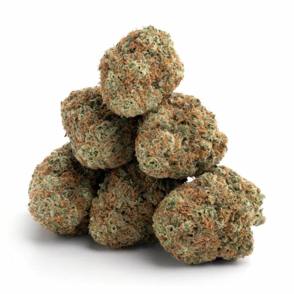 Meat Pie 2 Meat Pie - Image 2