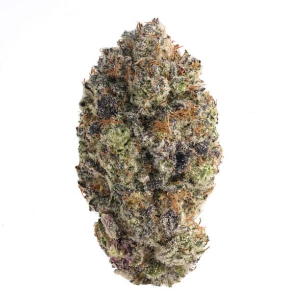 Jealousy 3 Jealousy - Image 3