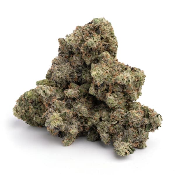 MK Ultra 3 MK Ultra - Image 3