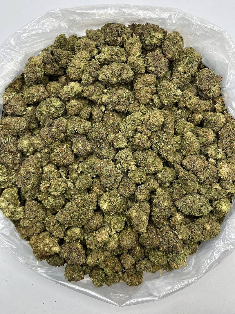 Bubba Kush THCa Flower 2 Bubba Kush THCa Flower - Image 2