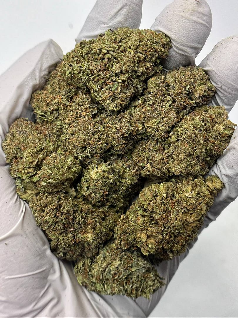 Bubba Kush THCa Flower 1 Bubba Kush THCa Flower