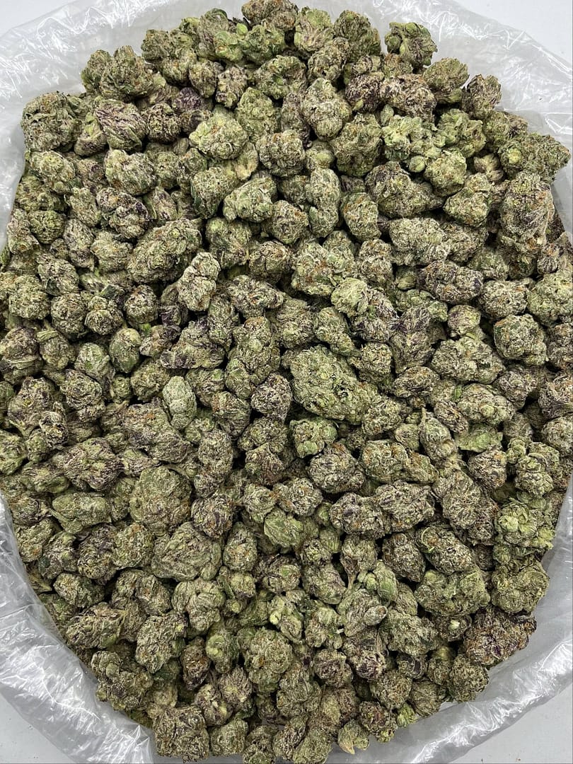 Candy Rain THCa Flower 2 Candy Rain THCa Flower - Image 2