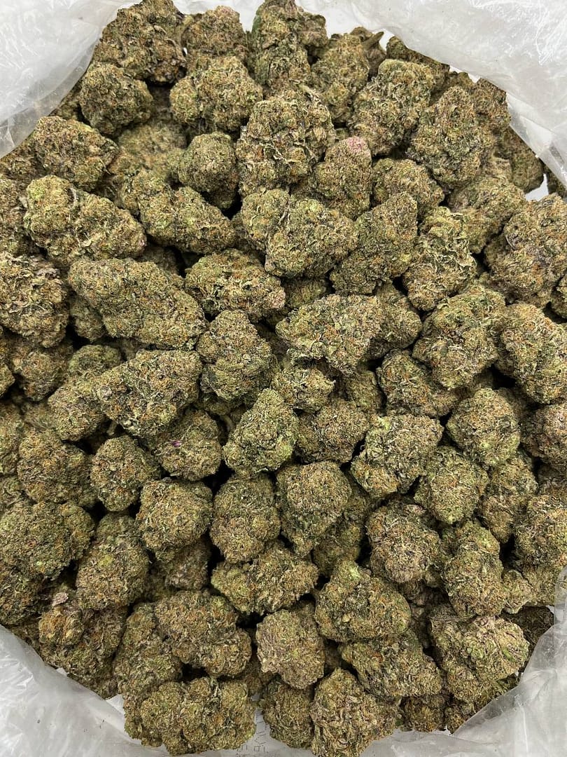 Girl Scout Cookies THCa Flower 2 Girl Scout Cookies THCa Flower - Image 2