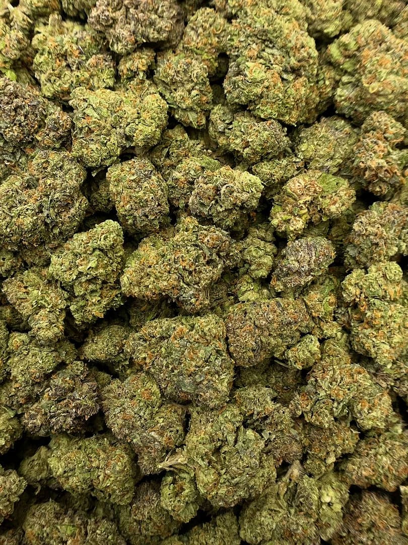 Gelato 41 THCa Flower 2 Gelato 41 THCa Flower - Image 2