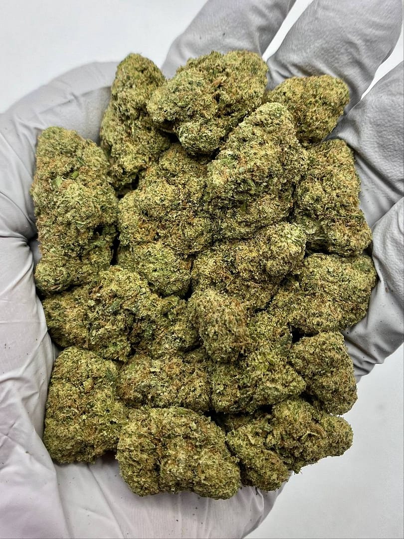 Mule Fuel THCa Flower Wholesale 1 Mule Fuel THCa Flower Wholesale