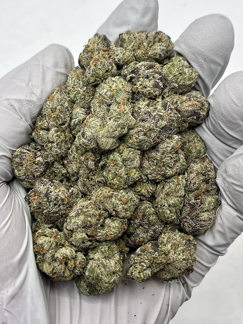 Gelato 33 THCa Flower 1 Gelato 33 THCa Flower