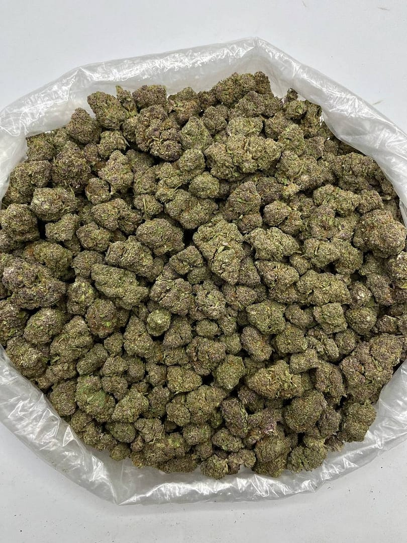 Tropicana Cherries THCa Flower 2 Tropicana Cherries THCa Flower - Image 2