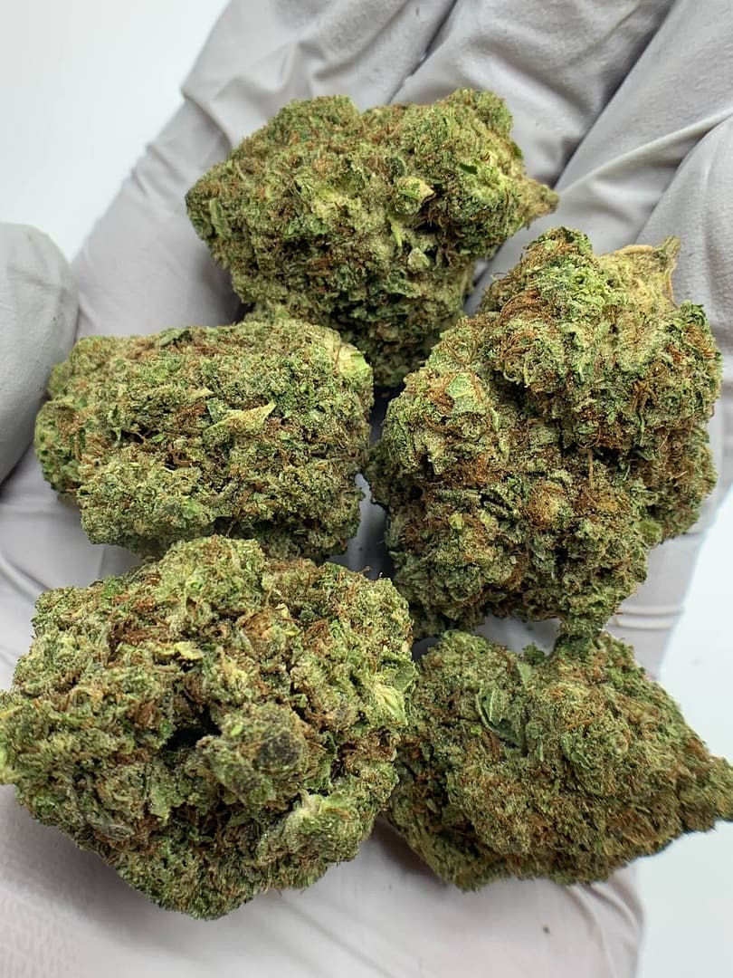 London Pound Cake THCa Flower 1 London Pound Cake THCa Flower