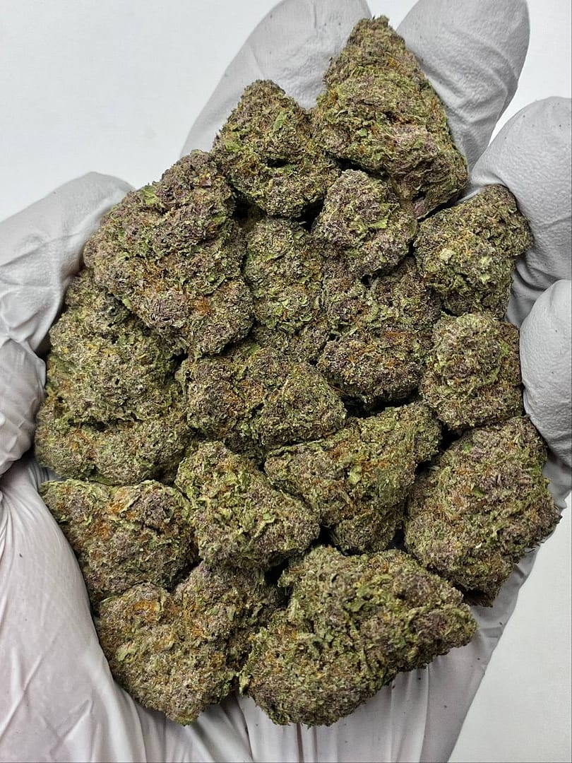 Tropicana Cherries THCa Flower 1 Tropicana Cherries THCa Flower