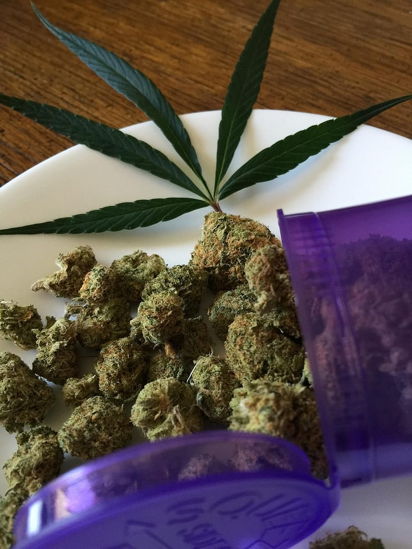 Bulk Cannabis Buying: Avoid These 5 Common Mistakes 2 bulk cannabis buying mistakes retailers should avoid